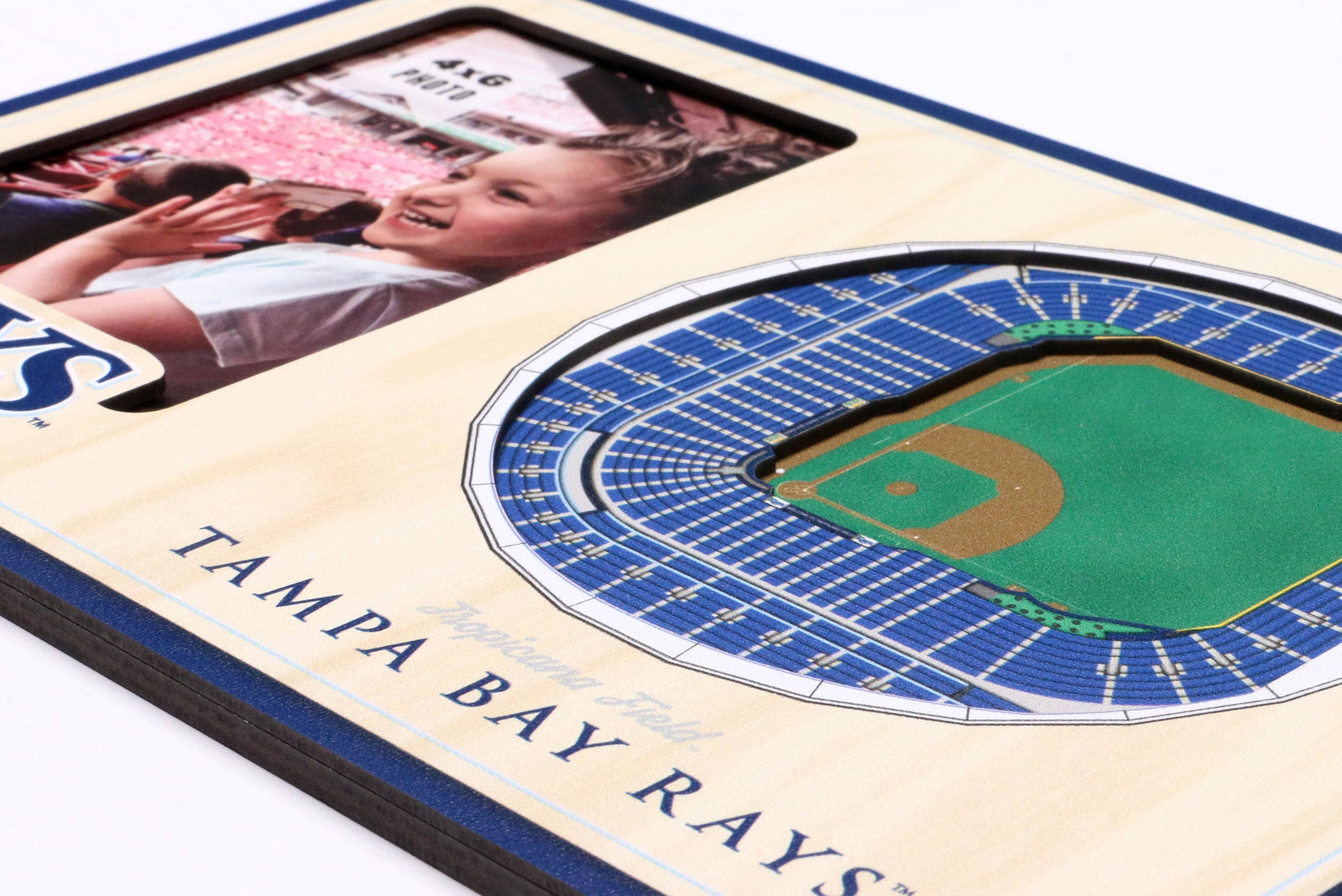 YouTheFan MLB Tampa Bay Rays 3D StadiumView Picture Frame