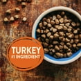 thumbnail image 5 of Wellness CORE Natural Grain Free Dry Dog Food, Original Turkey & Chicken, 26-Pound Bag, 5 of 8