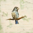 thumbnail image 2 of Loreth, Lanie 12x12 Black Ornate Wood Framed with Double Matting Museum Art Print Titled - Bird Scene II, 2 of 4