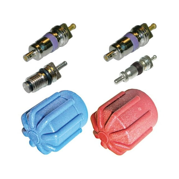A/C System Valve Core and Cap Kit - Compatible with 2009 - 2013 Mercedes-Benz ML350 2010 2011 2012