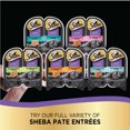 SHEBA Wet Cat Food Pate, Roasted Turkey Entree, 2.6 oz. PERFECT