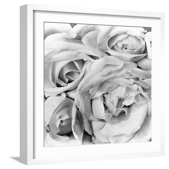 Art.com Roses, Mexico City, 1924 Photographic Print by Tina Modotti, White Frame Wall Art, 21" x 21"