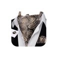 thumbnail image 1 of Set de Ascot y Pañuelo Barry.Wang Champagne Gris de Seda 126 cm, 1 of 7