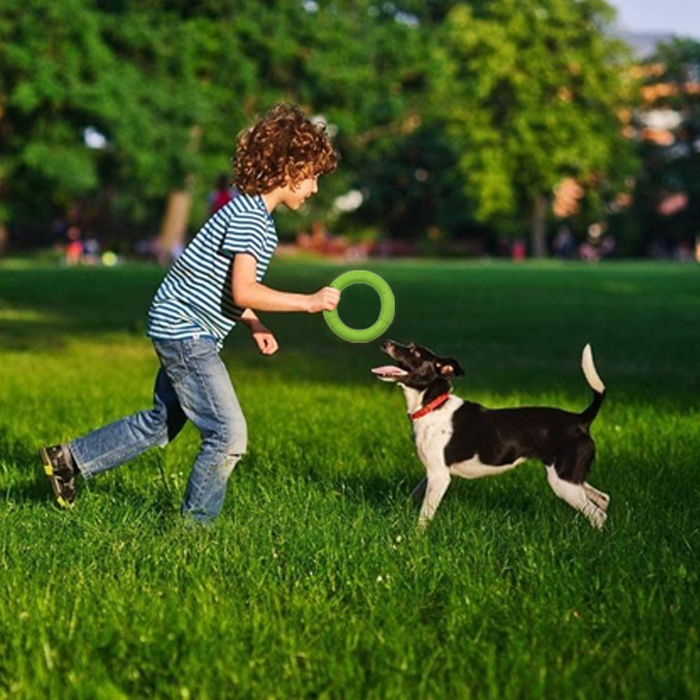 Dog Training Ring Flying Squirrel Dog Toy Outdoor Dog Toys Walmart