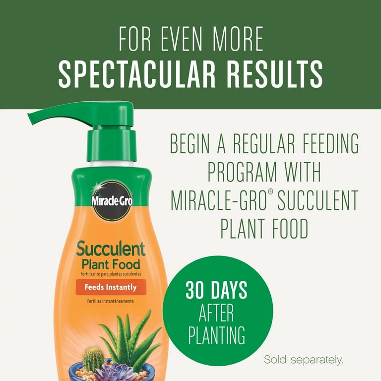 Miracle-Gro Succulent Potting Mix  Perfect Indoor Mix For Succulents, Aloe  Vera, Cacti & More  Feeds