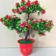thumbnail image 5 of Gwong Decoración hogareña Artificial Rose Flower Guest Greeling Pine Plant Pot Home Desktop Office Decor Gwong 21037528, 5 of 7