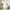 Color 13, variant on Lake Life Curtains Lake House 30%-50% Blackout Curtains 38Wx54L, Boating Fishing Theme Curtains & Drapes Farmhouse Black Sketches Window Curtains