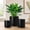 Black, variant on Ceramic Plant Pots, 3 Piece Indoor Planters Set with Drainage, 4.25+5.25+6.25 Inch Flower Pots for Succulents, Snake Plant, Pothos, Money Tree, Blue