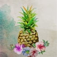 thumbnail image 3 of Boho Hue Studio 20x20 Black Modern Framed Museum Art Print Titled - Pineapple, 3 of 5