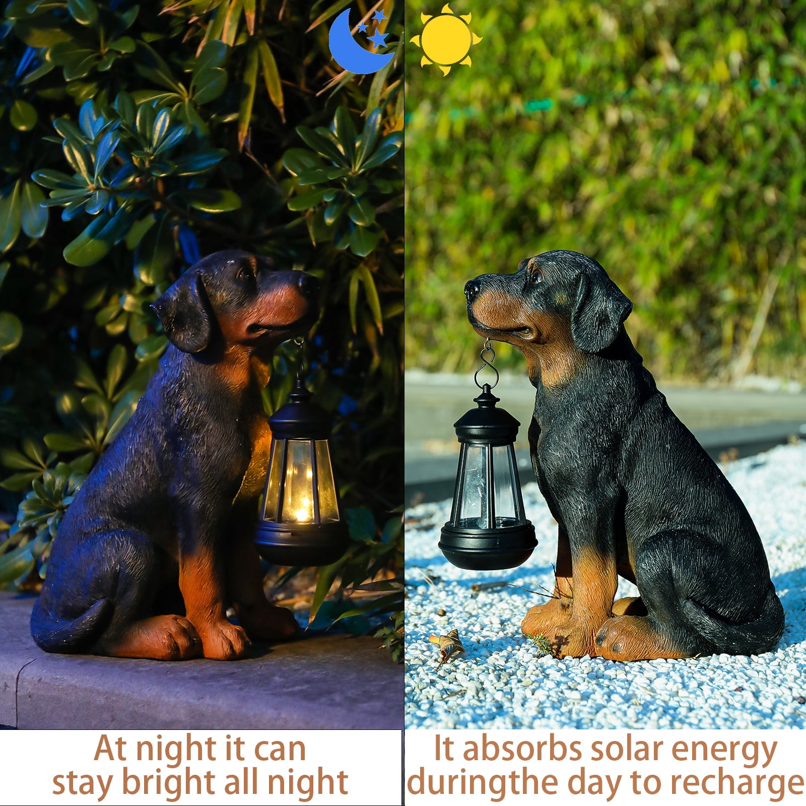 11.8 Inch Rottweiler Garden Statue with Solar Lantern – Lifelike Resin Statue, Decor for Patio, Lawn & Outdoor Spaces