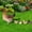 multicolor#838, variant on Chicken Yard Art Garden Statues – Acrylic Farmhouse Chicken Silhouette Outdoor Decor for Lawn, Backyard, Patio and Garden