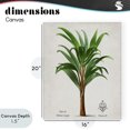 thumbnail image 4 of Stupell Industries Shabby Chic Palmas Longas Palm Tree Canvas Art, 16 x 20, by Val Rhodes, 4 of 8