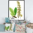 thumbnail image 2 of Designart 'Ancient Brazilian Plant IV' Traditional Framed Canvas Wall Art Print, 2 of 5