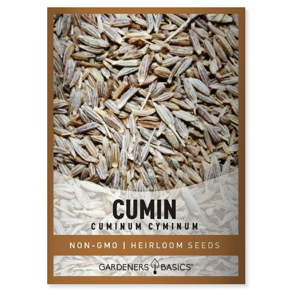 Cumin Seeds