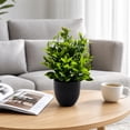 thumbnail image 6 of Set of 4 Artificial Potted Plants | Plastic Green Foliage | Indoor & Outdoor Décor | Realistic Small Fake Plants for Home and Office Decoration, 6 of 6