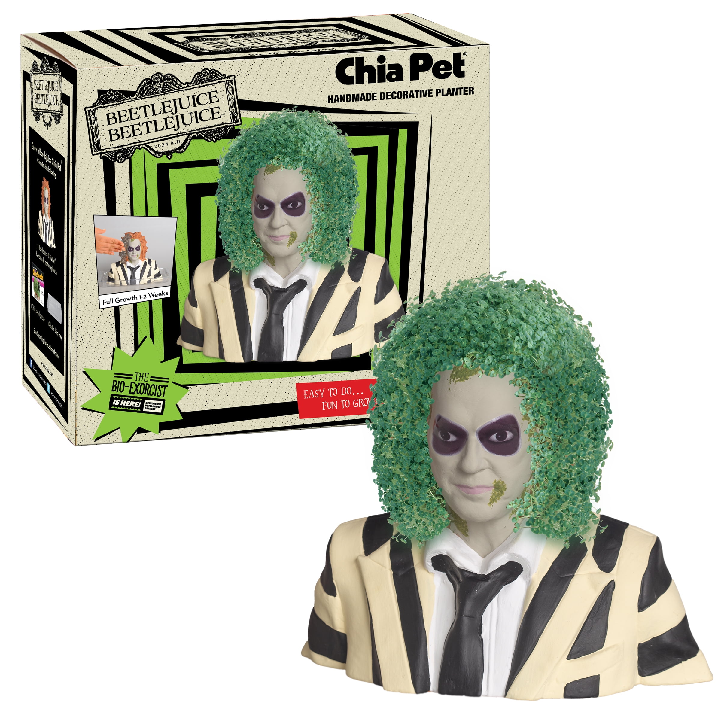 Beetlejuice Beetlejuice Chia Pet Handmade Decorative Planter by JEI