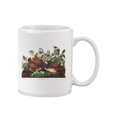 thumbnail image 1 of Key West Pigeons. Mug - John James Audubon Designs,, 1 of 4