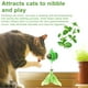 thumbnail image 3 of Juguete de hierba gatera para gatos Warkul con diseño de ventosa, bola de hierba gatera para gatos, juguete para masticar seguro para el cuidado dental con plumas, suministros para mascotas, 3 of 8