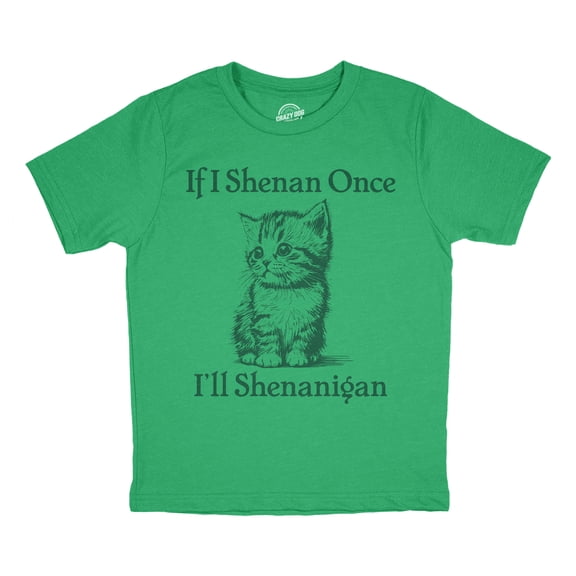 Youth Funny T Shirts If I Shenan Once Ill Shenangian Sarcastic St Patricks Day Tee For Kids