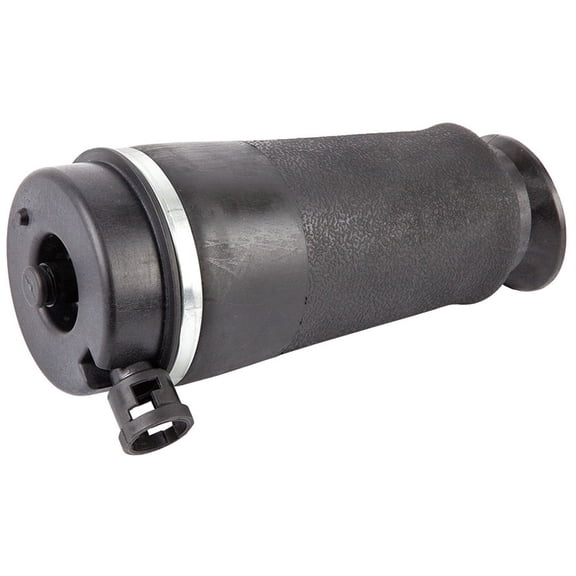 For Ford Expedition & Lincoln Navigator Rear Air Suspension Spring - BuyAutoParts