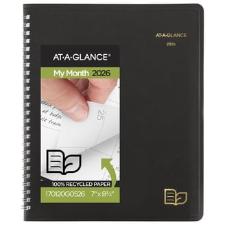 At A Glance AAG760205 Quick Notes Weekly & Monthly Planner