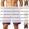 thumbnail image 3 of LEKWK Mens Cargo Shorts Elastic Waist Quick Dry Belted Waistband Cargo Shorts with Pockets Mid Rise Loose Fit Bermuda Shorts Hiking Fishing Camping Outdoor Wear Purple L, 3 of 5