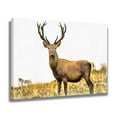 thumbnail image 2 of A Majestic Male Elk Stands Tall On a Meadow Poster Decorative Painting Canvas Wall Art Living Room Posters Bedroom Painting,Frame-style,20x30inch(50x75cm), 2 of 8