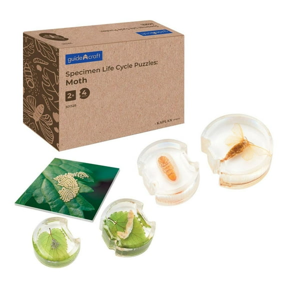Kaplan Early Learning Company Specimen Life Cycle Puzzles: Moth
