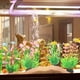 thumbnail image 4 of 10 piezas de plantas decorativas de plástico para acuario, decoración de acuario, accesorios decorativos para peceras., 4 of 5