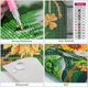 thumbnail image 4 of ER Pintura de diamantes 5D Flores (30 x 40 cm) Kit de pintura de diamantes Flores de pintura de diamantes Kit de bordado de diamantes Juego completo de flores de diamantes Pintura de diamantes Flores Decoración de la pared del hogar Rojo Verde, 4 of 5