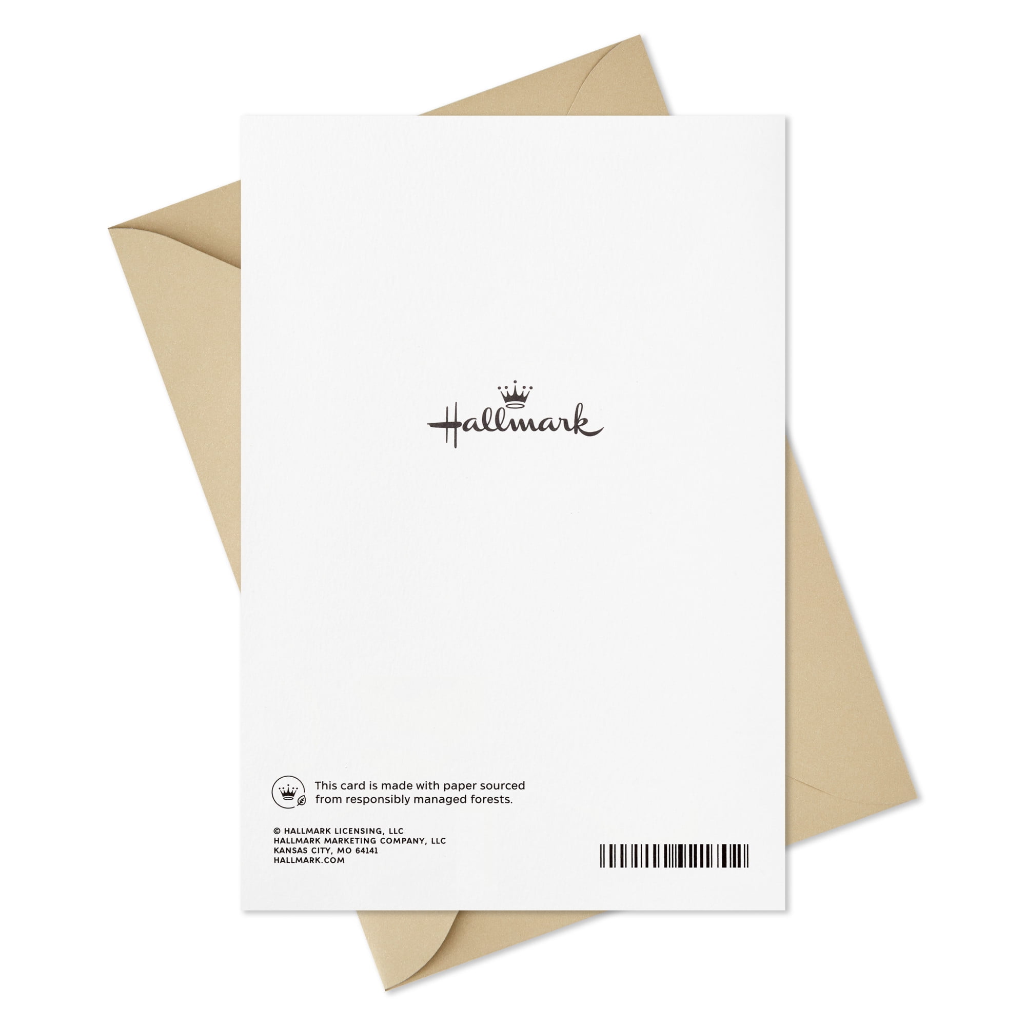 Hallmark Romantic Birthday Card for Him (You Share So Much)