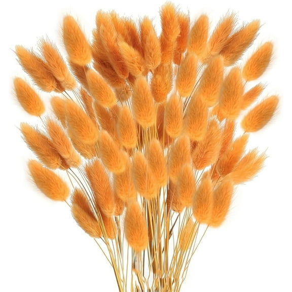 Tutuviw Orange Bunny Tails Dried Flowers, 16inch Natural Dried Grass, Bunny Tails Dried Flowers for Wedding, Home, Rustic Party, Baby Shower, Christmas Decorations (60 Pcs)