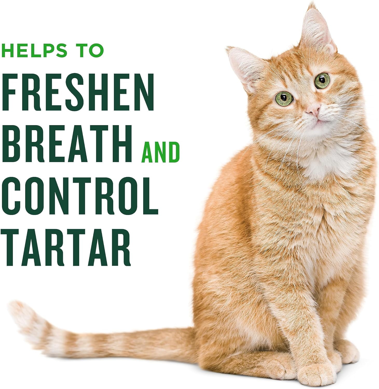 Minties Teeth Cleaner Dental Cat Treats, Salmon Flavored, 2.5 oz