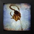 thumbnail image 2 of Malek, Honey 12x12 Black Modern Framed Museum Art Print Titled - Grunge Remnants VIII, 2 of 5