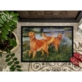 thumbnail image 3 of Carolines Treasures HEH0098MAT Tapis d'Intérieur Ou d'Extérieur- 18 x 27, 3 of 4