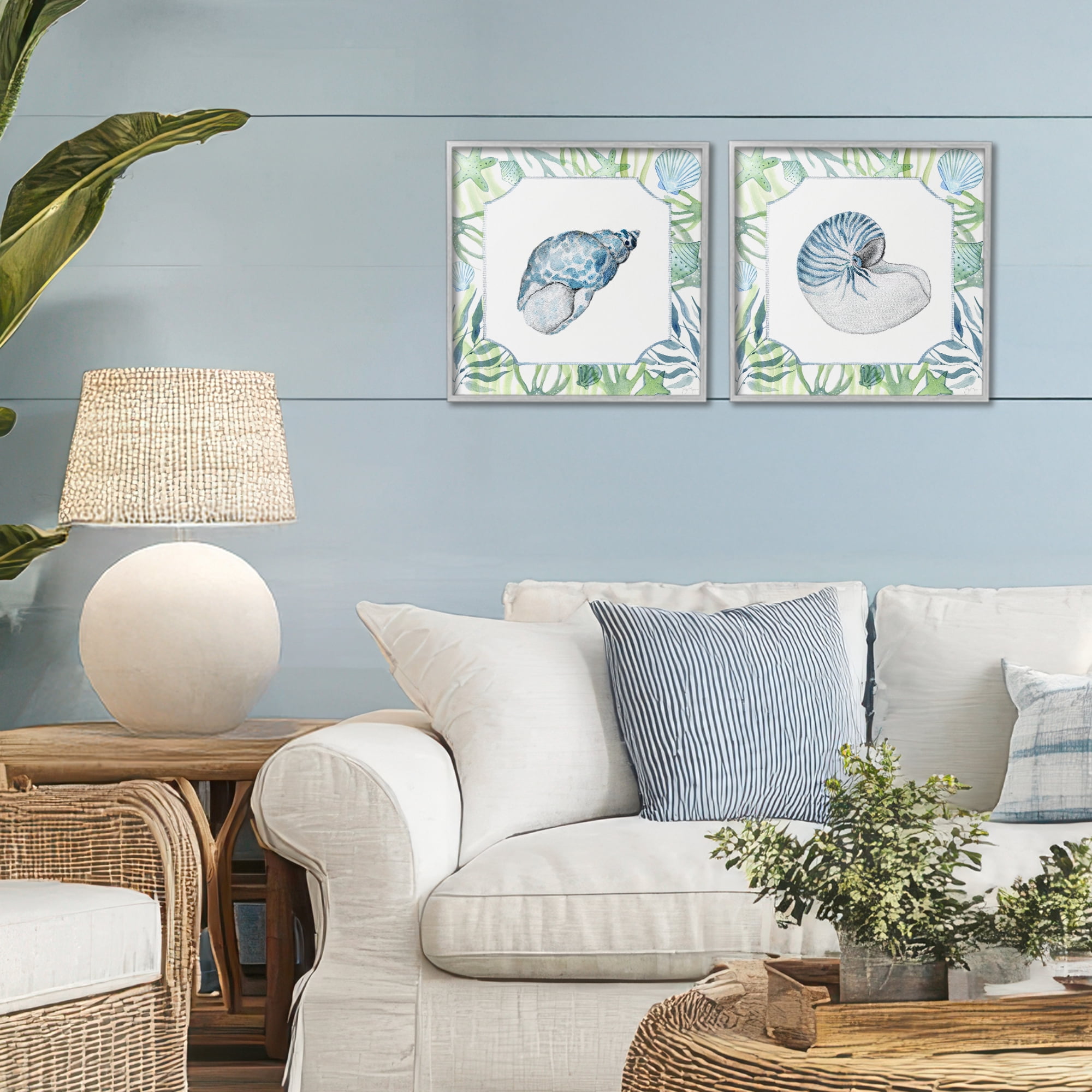 Stupell Industries Seaweed Bordered Seashells 2 Piece Gray Framed Giclee Art Set, design by Janet Tava