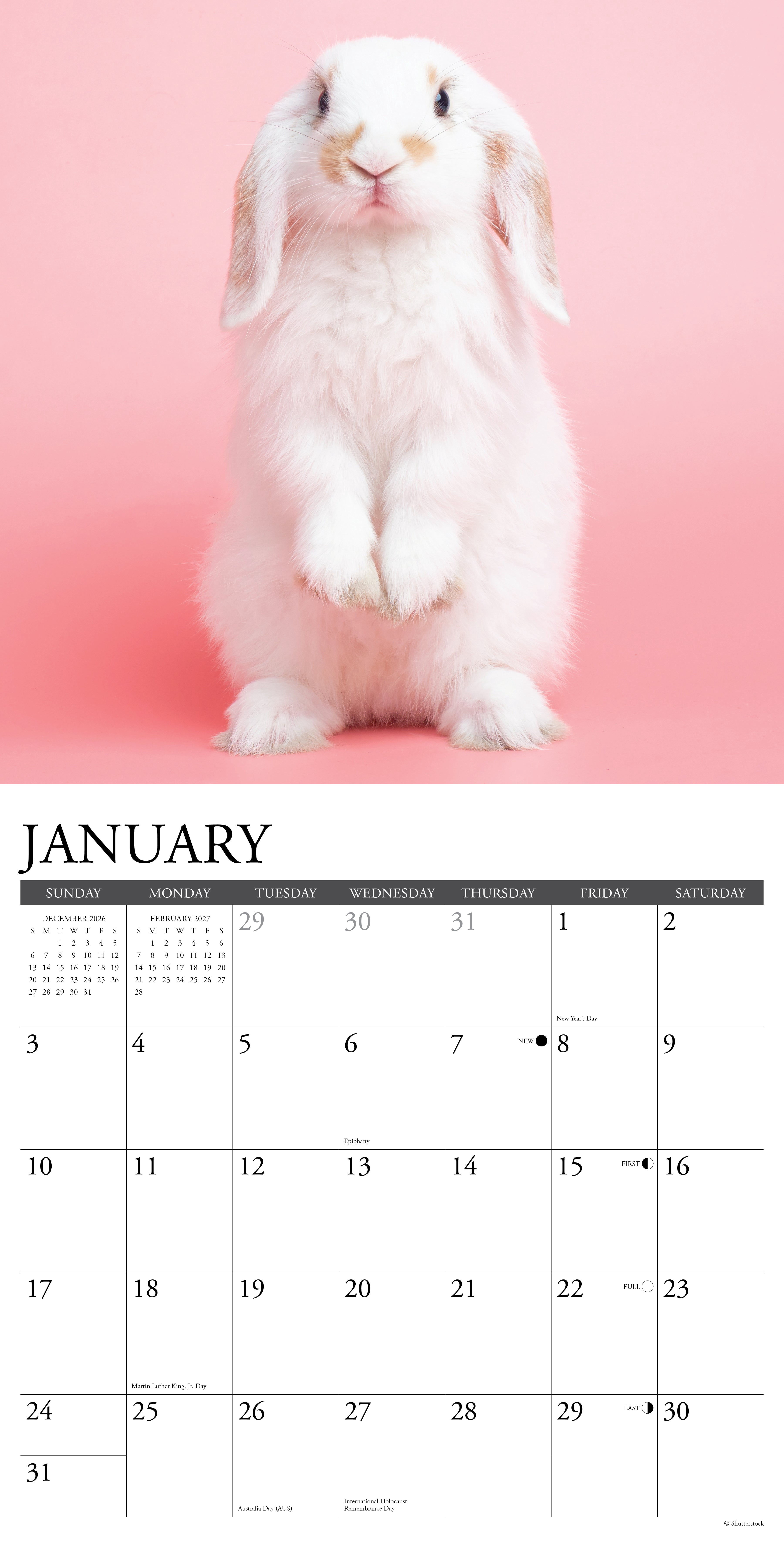 Willow Creek Press, Bunnies 2027 Wall Calendar