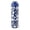 Blue Sport, variant on TAL 26oz Stainless Steel Ranger Water Bottle with Easy Sip Straw, Cream