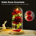 thumbnail image 2 of Rosa Flor Eterna, la Bella y la Bestia, Rosas Flor Artificial Luces LED, con Cúpula, Base Pino y Doble Rosas, Romántico Regalo para Novia o Esposa, San Valentín, Día De Madre, Boda Aniversario, 2 of 4