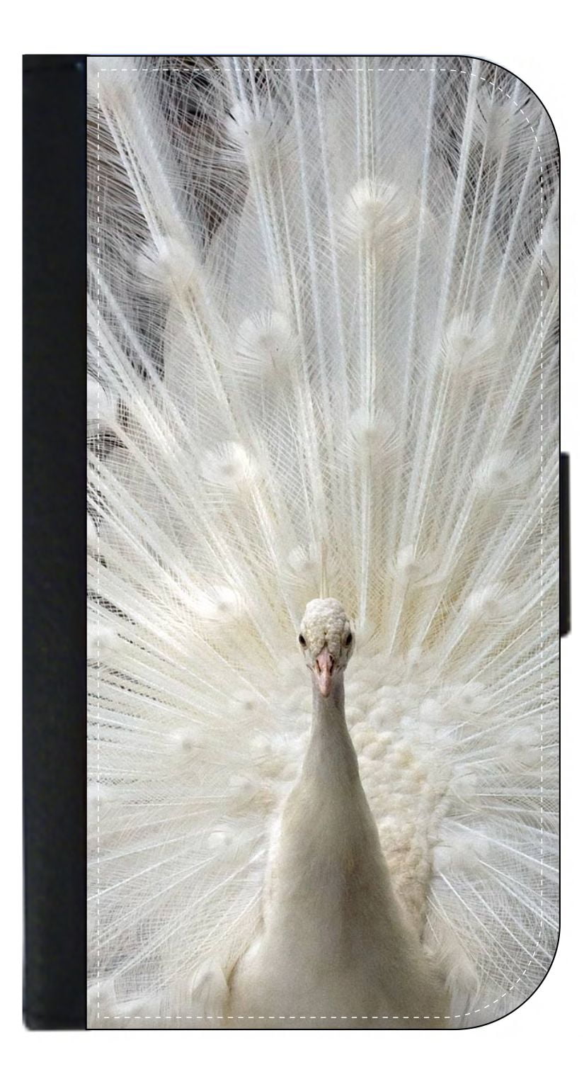 peacock wallet