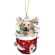 thumbnail image 5 of Navidad Perro Colgante Acrylic Teddy Golden Hair Fadou, Perro Colgante Christmas Tree Ornament, Pendiente de Acrylic con Peluca Dorada, Fácil de Colgar, para Decorar Navideño, Ideal para, 5 of 8