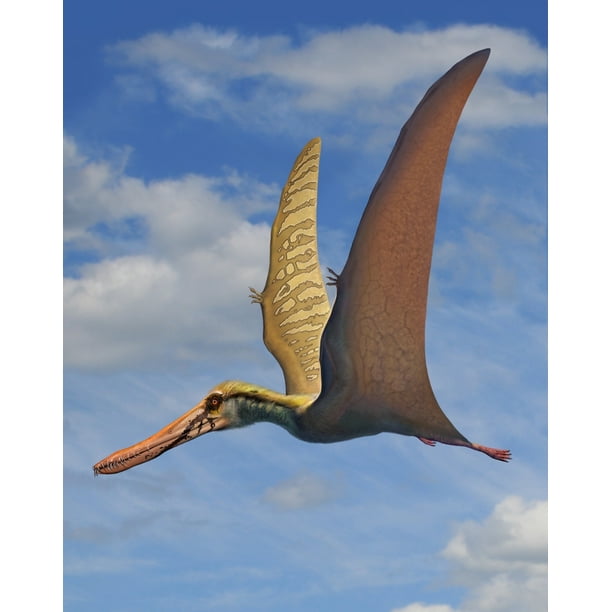 Cearadactylus atrox, a large pterosaur from the Early Cretaceous period Poster Print (25 x 31