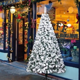 Amazon.com: MOMENTS IN TIME Christmas Village Building