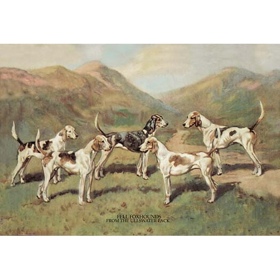 Fell Foxhounds Fine art canvas print (20" x 30")