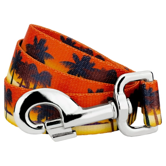 Country Brook Petz - 5/8 inch Caribbean Sunset Dog Leash - 6 Foot