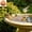 C, variant on Solid Copper Disk for Bird Bath Cleaner,Natural Algae Control Water Purifier, Chemical-Free Outdoor Basin Cleaner for Fountains, Safe for Birds & Wildlife, Low-Maintenance Garden Water Care