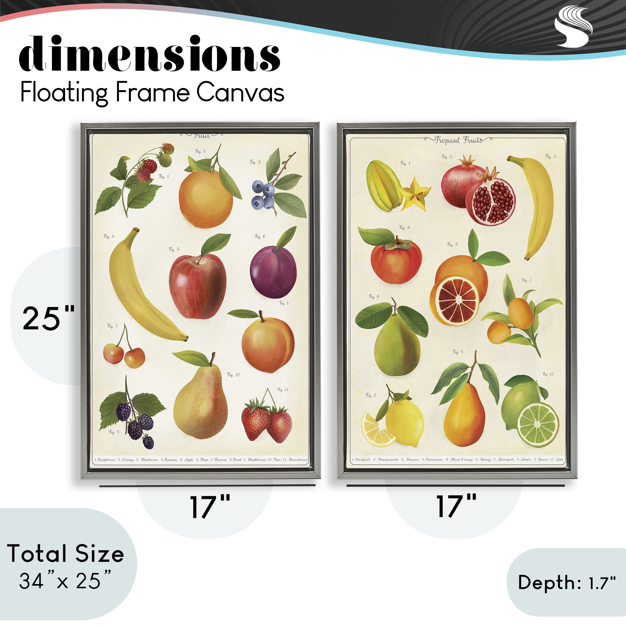 Stupell Industries Kitchen Studies Fruit 2 Piece Gray Framed Floater Canvas Set, design by Diane Neukirch