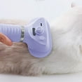 thumbnail image 3 of 5 In 1 Steam Cat Brush with 600W Dryer and Convertible Spray Hair Removal Comb for Pet Grooming Ideal for Indoor and Outdoor Use, 3 of 4
