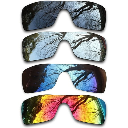 Set of 4 Polarized Replacement Lenses for Batwolf Pack | Walmart Canada