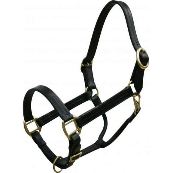 Mini Size Leather Halter w/ Brass Hardware (Black)
